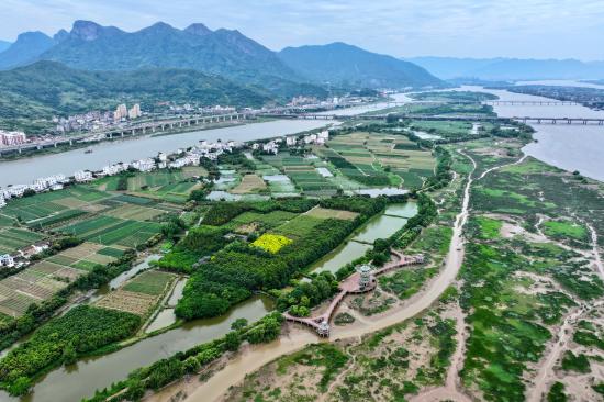 广西阳朔遇龙河“金龙”游：山水崇军礼